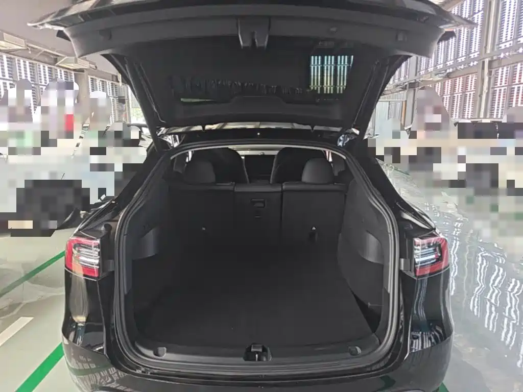 Tesla Model Y — миниатюра 19