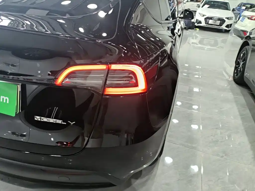 Tesla Model Y — миниатюра 8