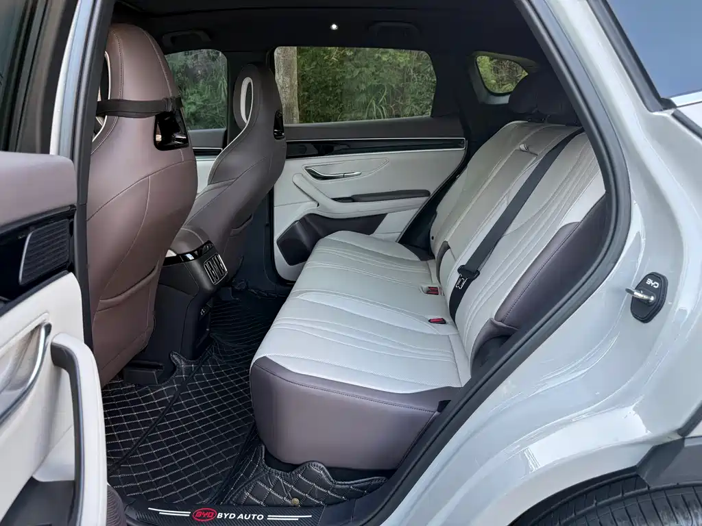 BYD SONGJIANG NEW ENERGY