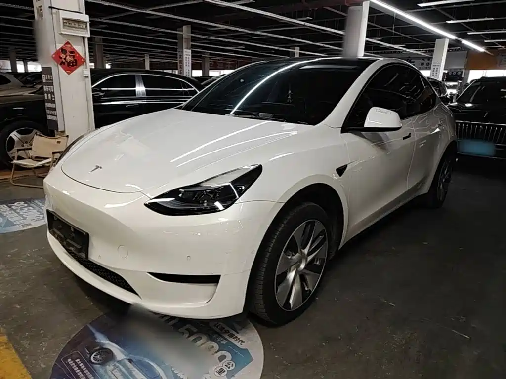 Tesla Model Y — миниатюра 2