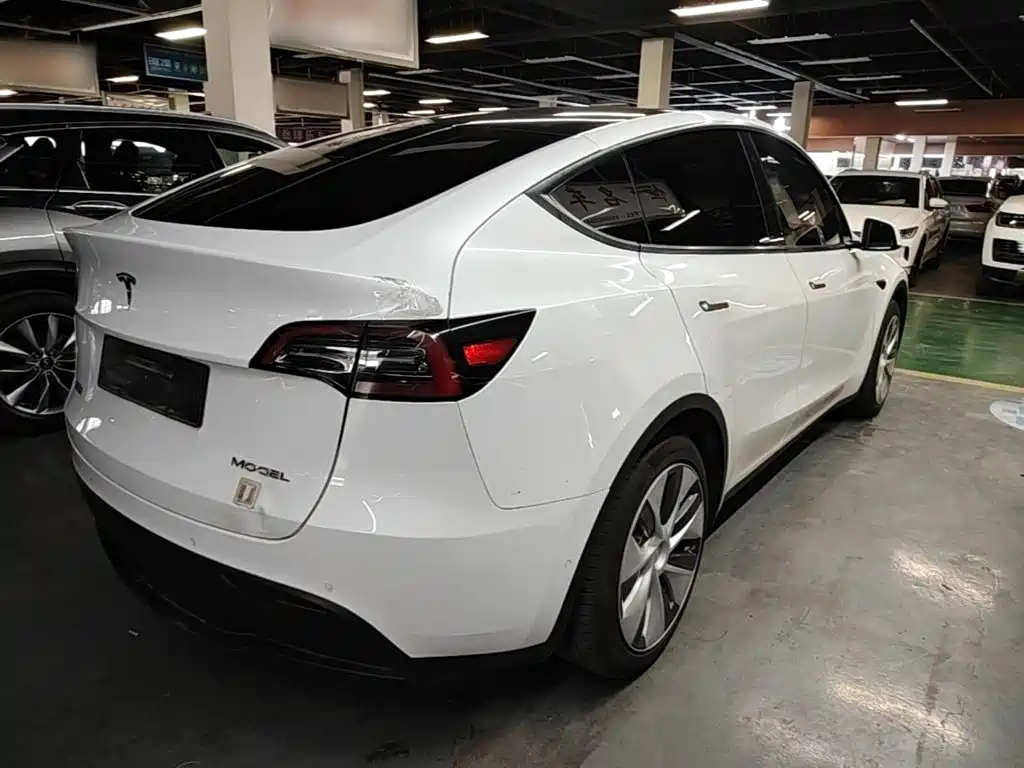 Tesla Model Y — миниатюра 7