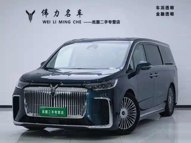 2025 Voyah Dream