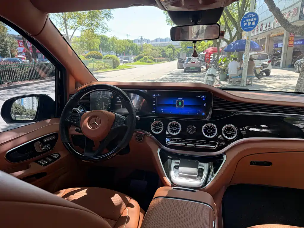 Mansory Mansory V-Class — миниатюра 19