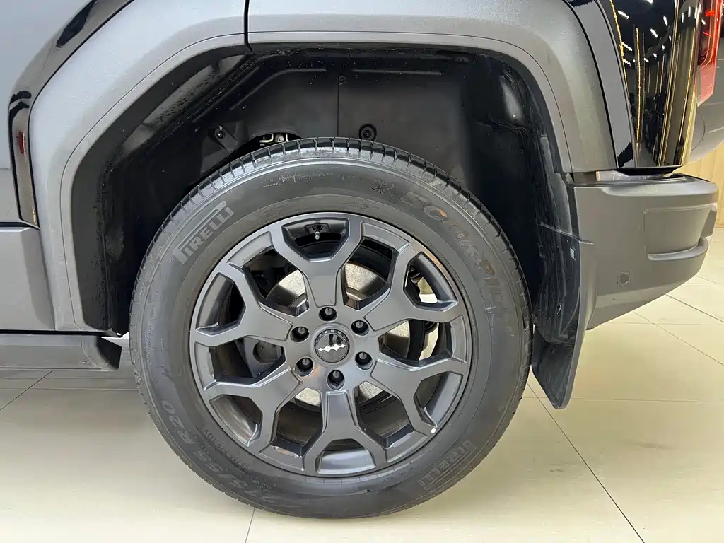 FANG CHENG BAO LEOPARD 5