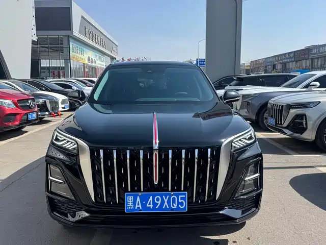 2024 Hongqi HS5