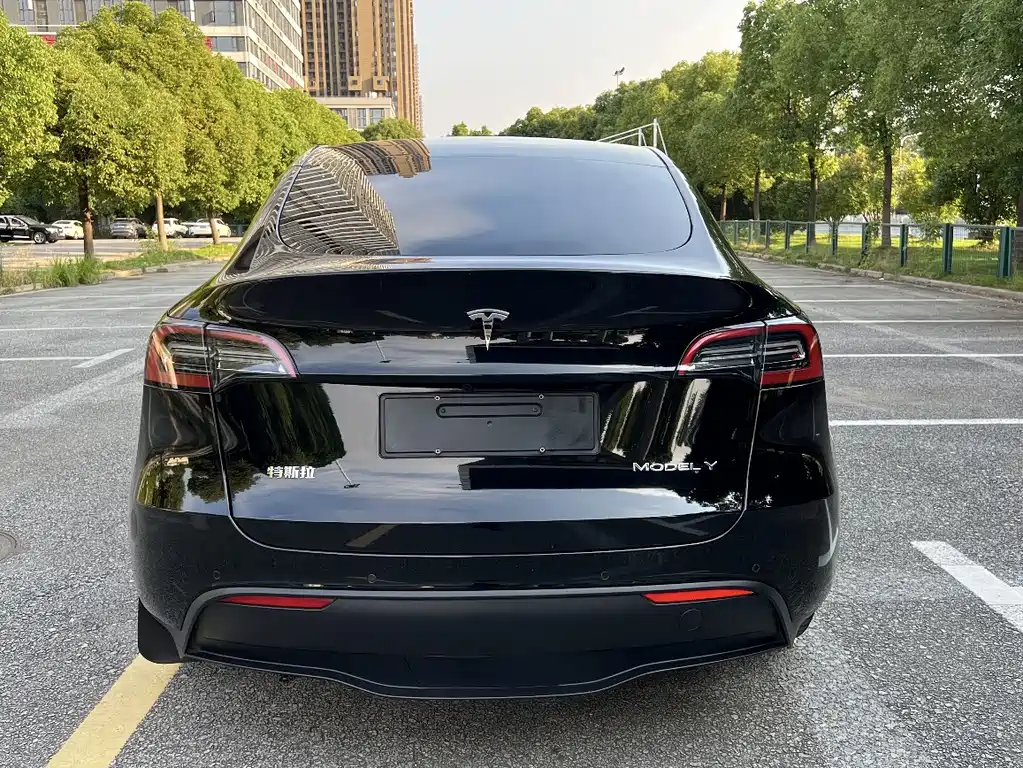 Tesla Model Y — миниатюра 10