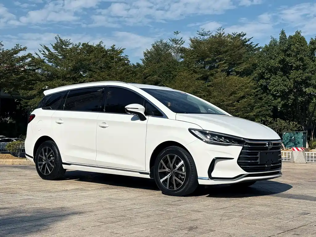 BYD SONGJIANG NEW ENERGY