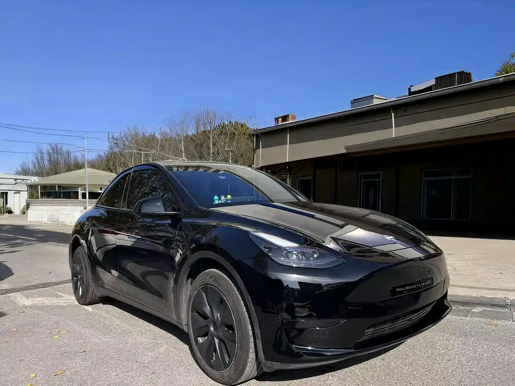 Tesla Model Y — миниатюра 3
