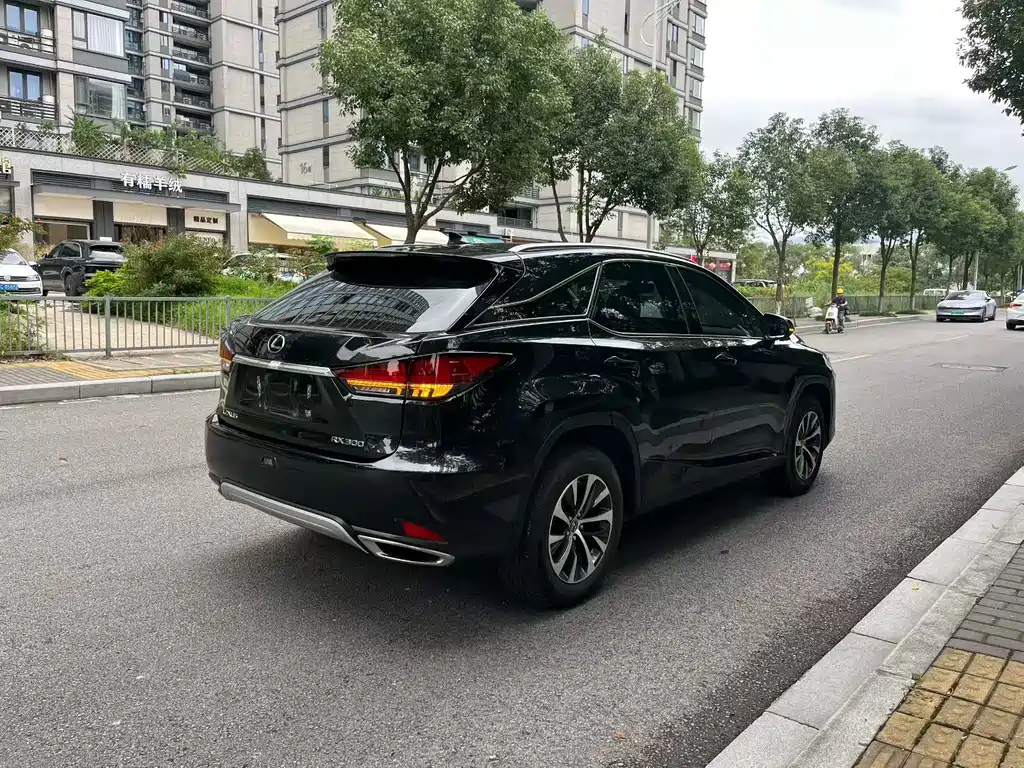 Lexus RX — миниатюра 5