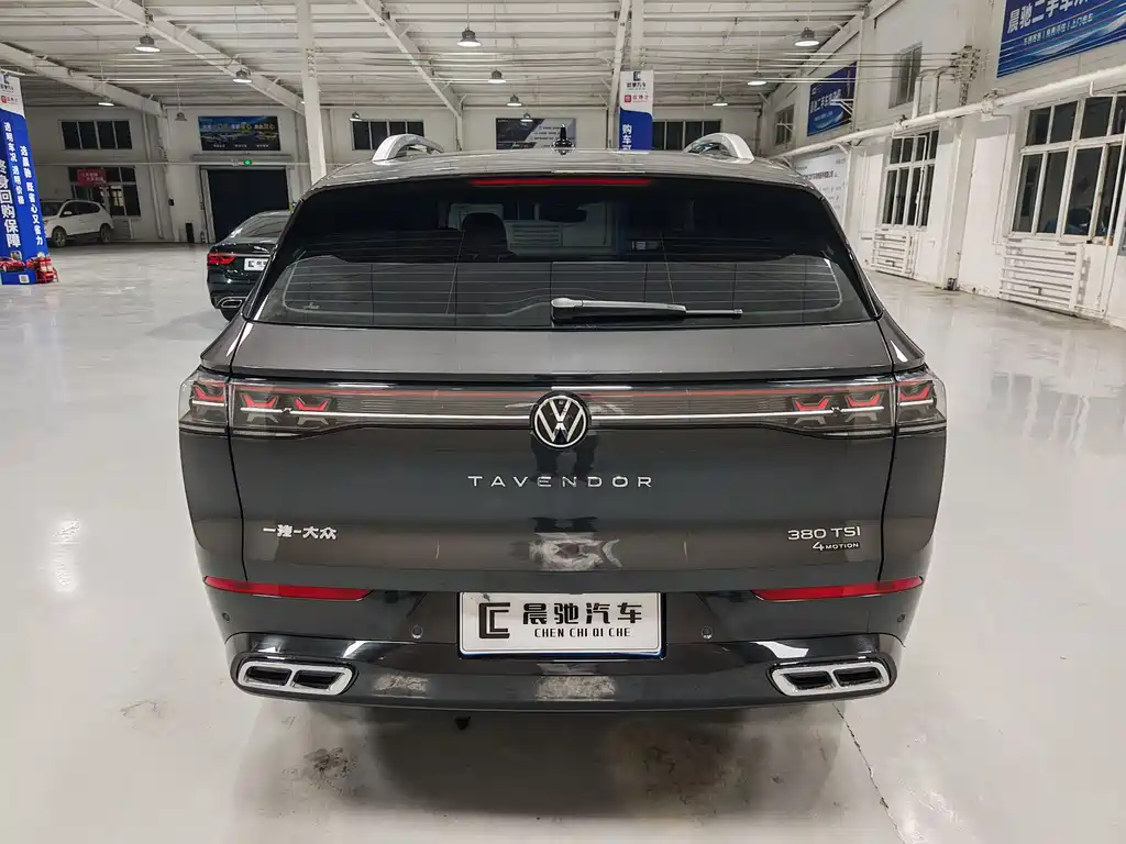 Volkswagen Tavendor — миниатюра 5