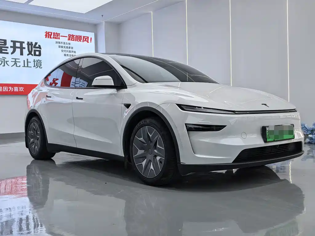 Tesla Model Y L — миниатюра 3