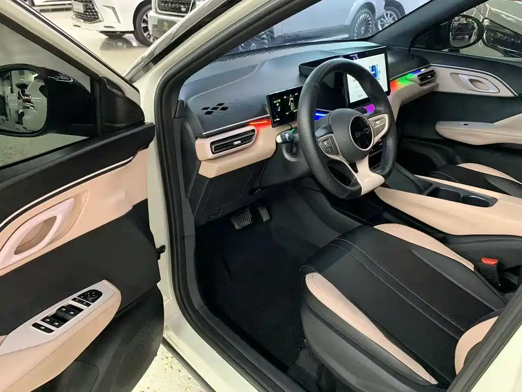 BYD Seagull 2025 305km Freedom