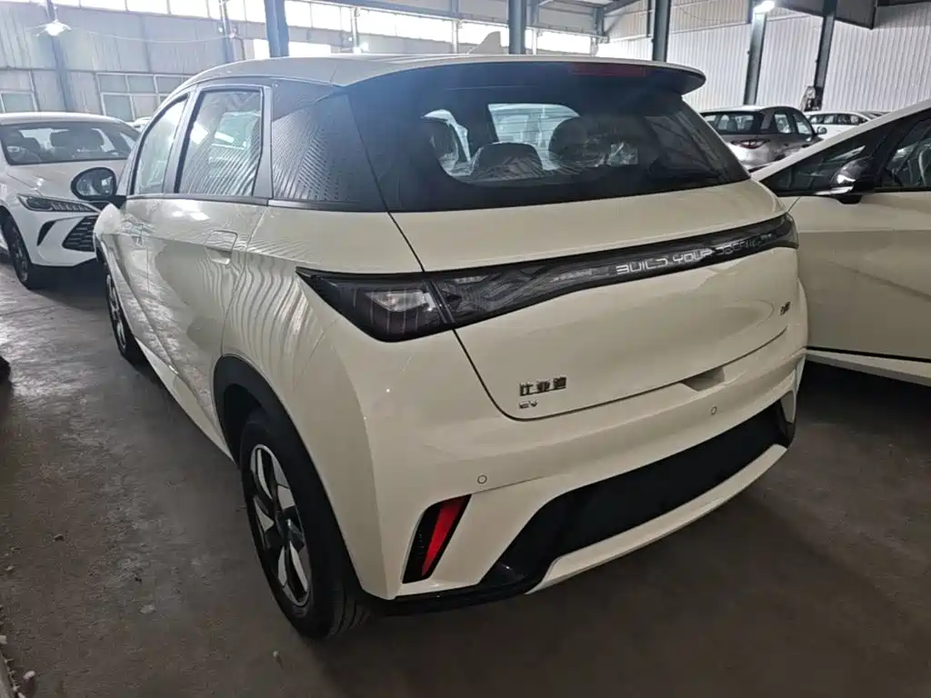 BYD Dolphin — миниатюра 5
