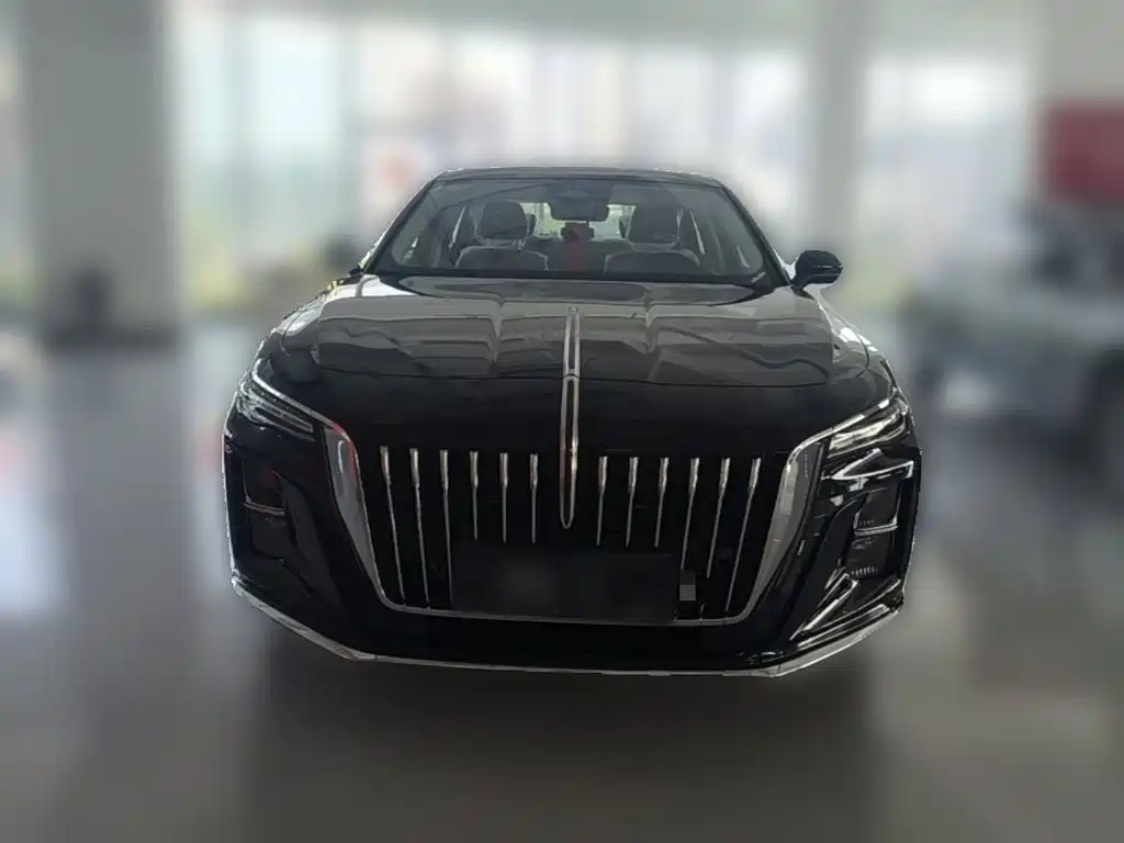 Hongqi Hongqi H5 — миниатюра 5