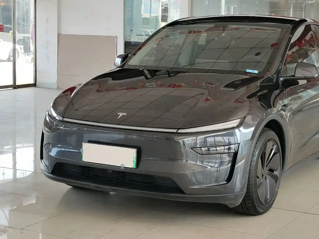 Tesla Model Y — миниатюра 7