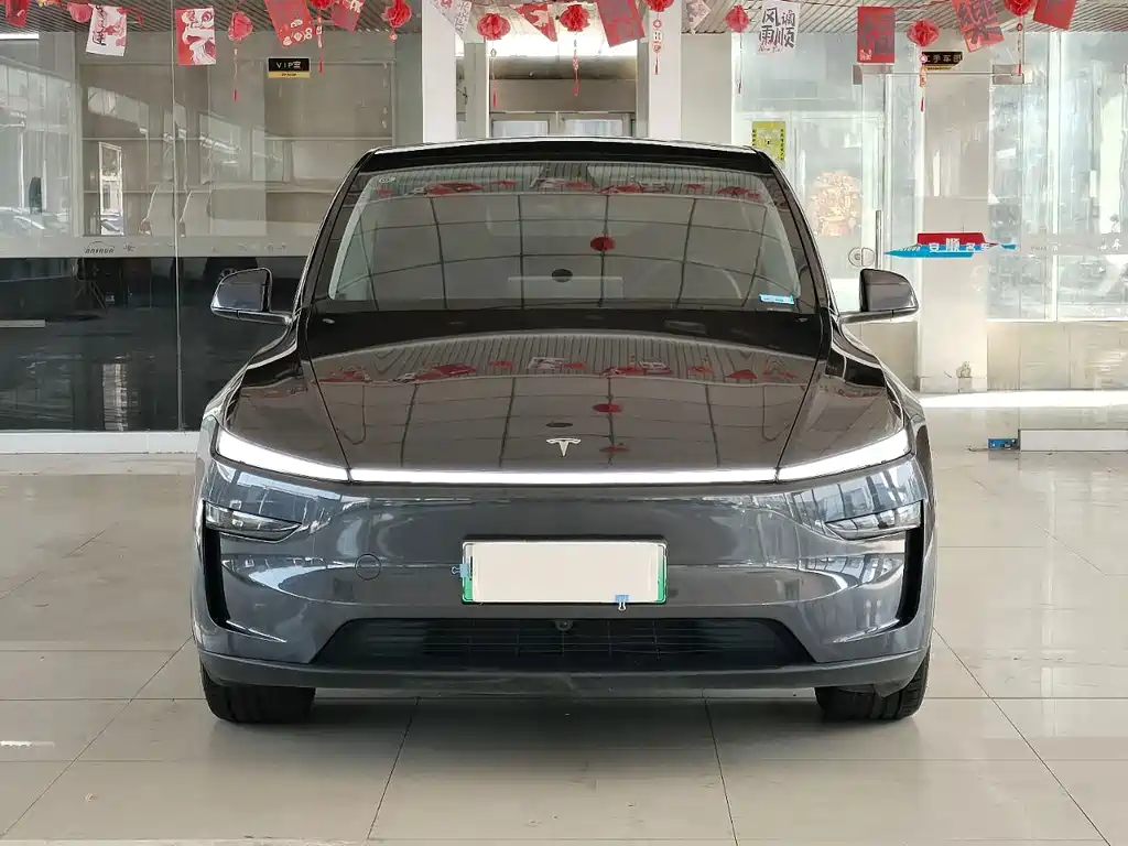 Tesla Model Y — миниатюра 2