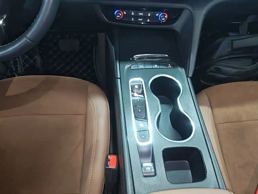 Buick Regal — миниатюра 14