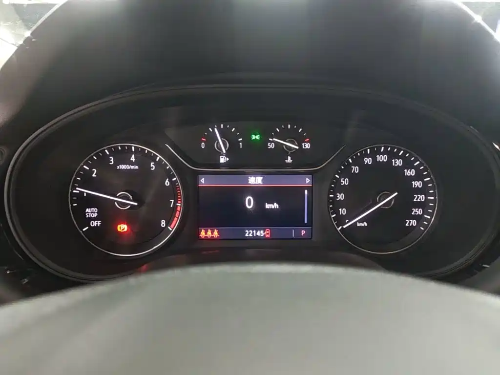Buick Regal — миниатюра 12