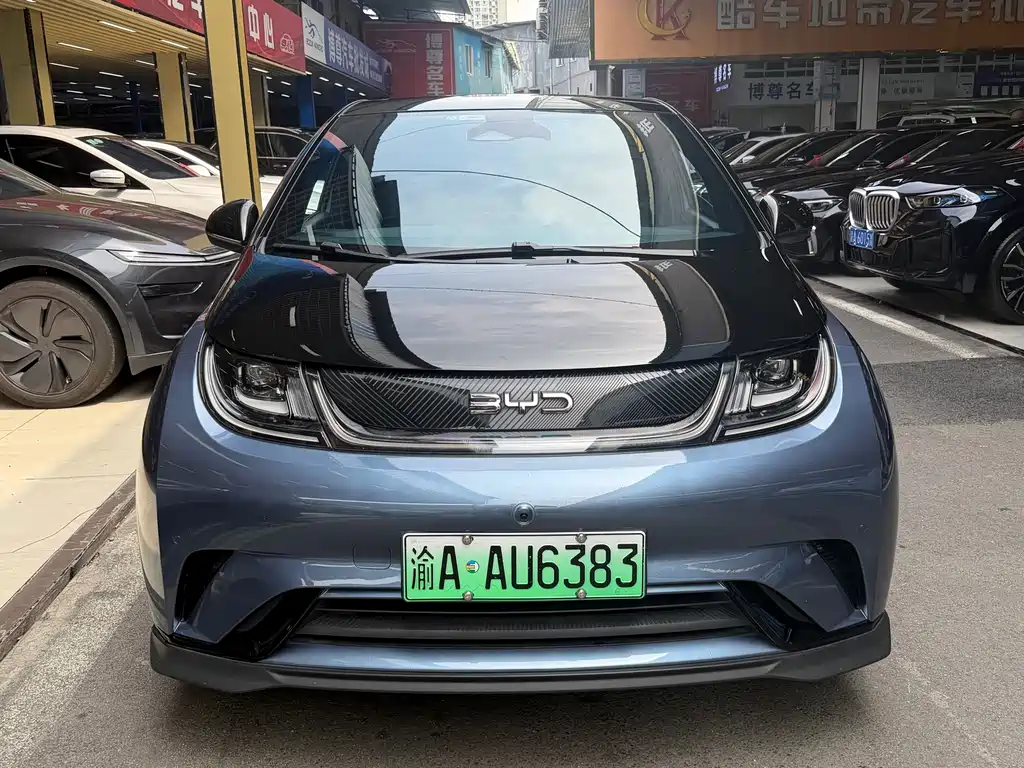 BYD Dolphin — миниатюра 2
