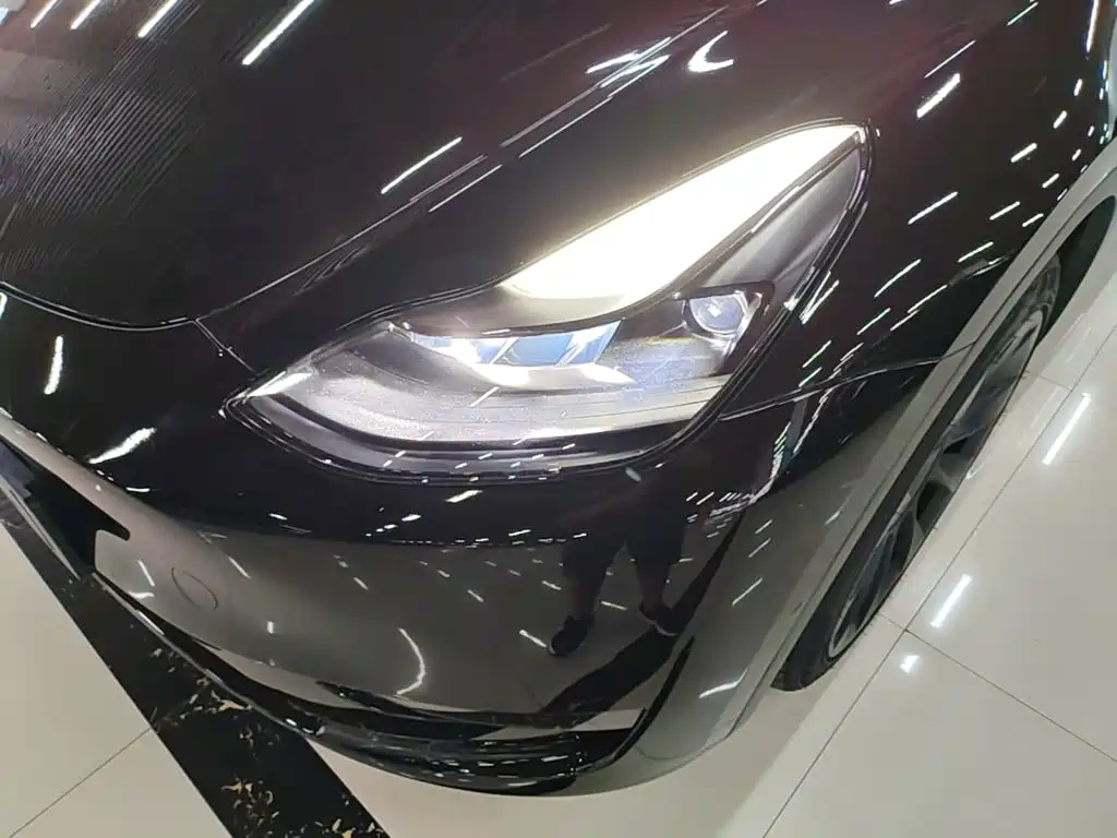 Tesla Model Y — миниатюра 24