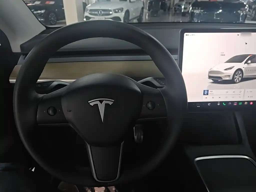 Tesla Model Y — миниатюра 11