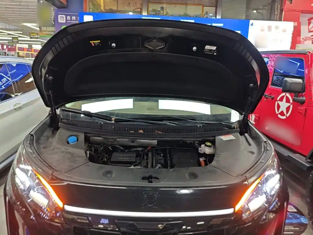 BYD Xia — миниатюра 20