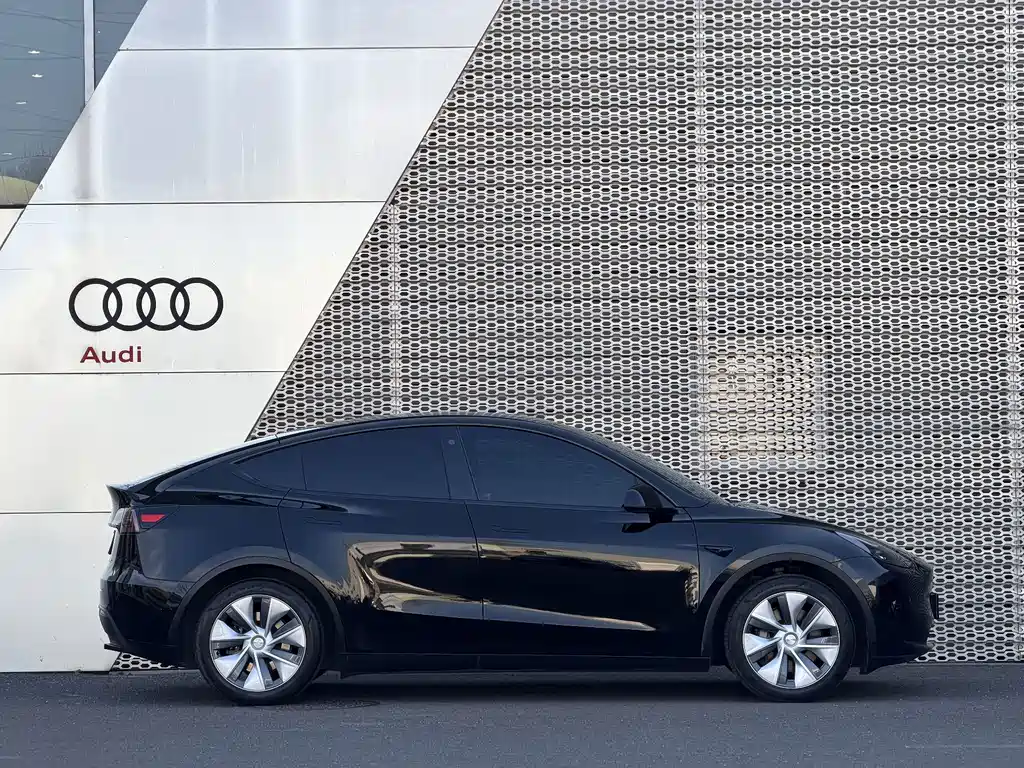 Tesla Model Y — миниатюра 3