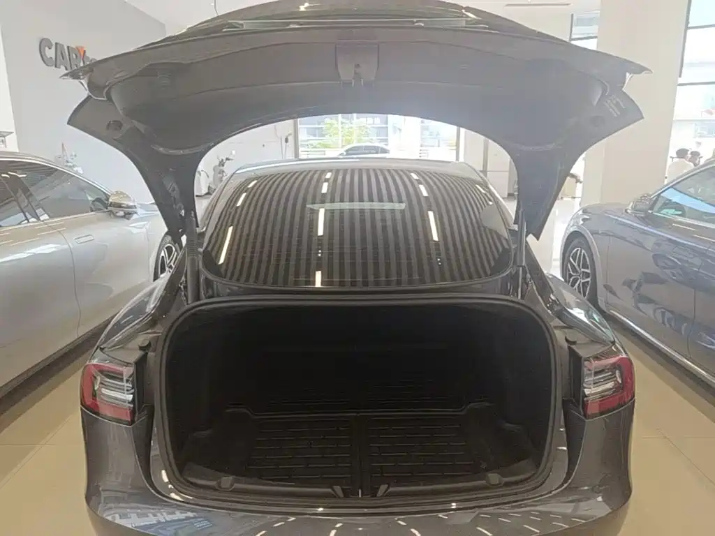 Tesla Model 3 — миниатюра 19