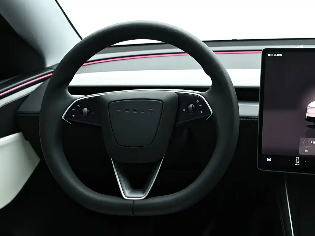 Tesla Model Y — миниатюра 15