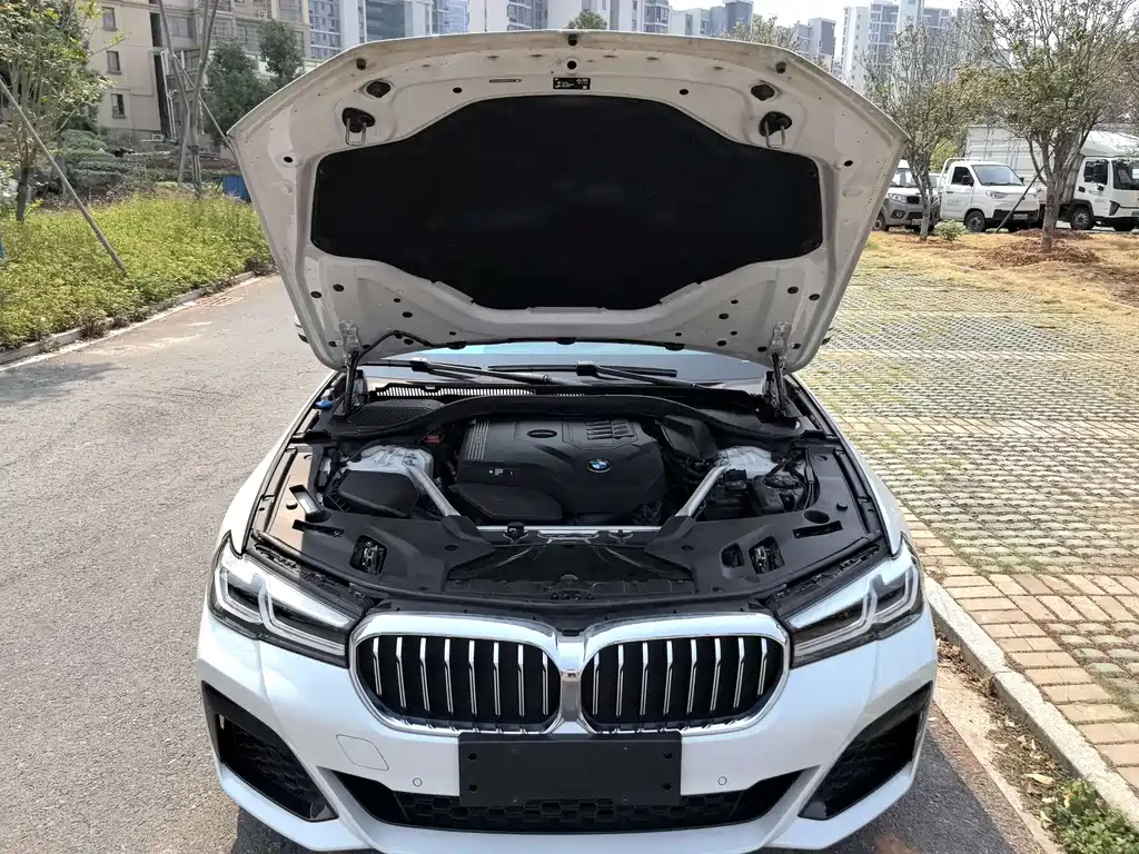 BMW 5 Series — миниатюра 10