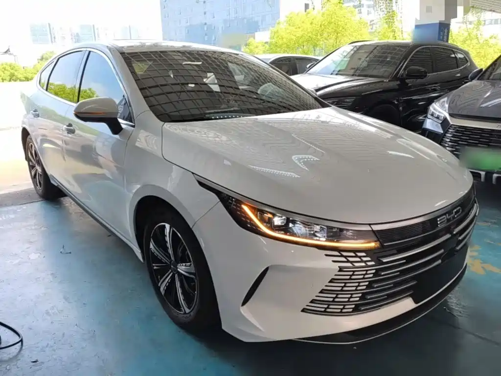 BYD Destroyer 05 — миниатюра 4