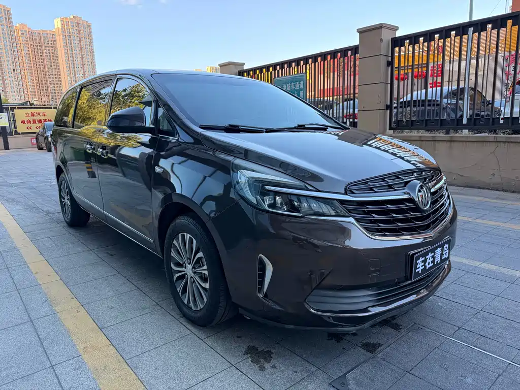 Buick GL8 — миниатюра 3