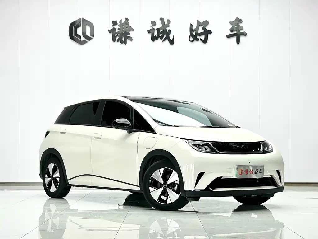 BYD Dolphin — миниатюра 3