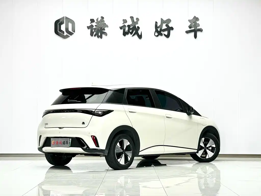 BYD Dolphin — миниатюра 5