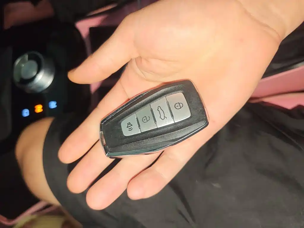 Geely E Firefly E 2024 301km