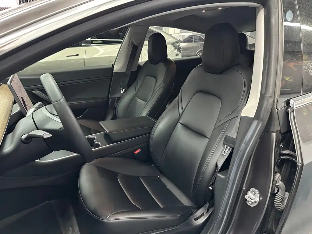 Tesla Model 3 — миниатюра 10