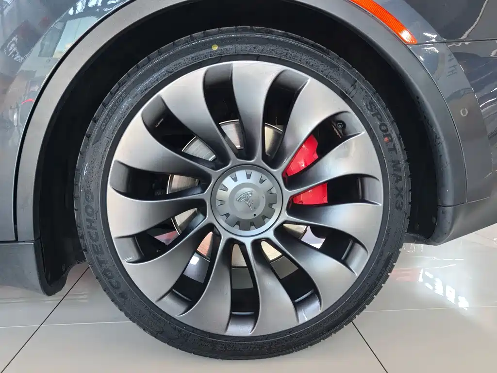 Tesla Model Y — миниатюра 6