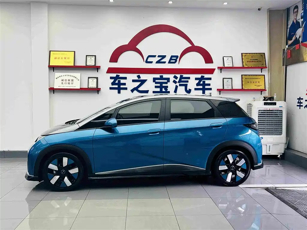 BYD Dolphin — миниатюра 5