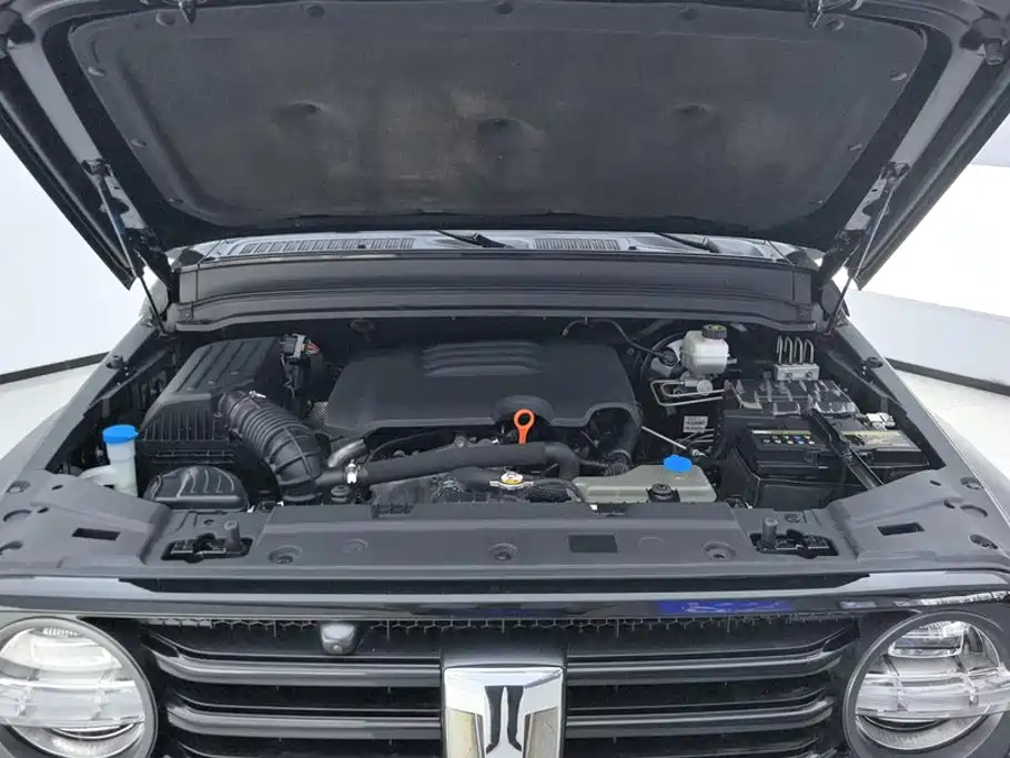 Tank 300 2021 2.0T