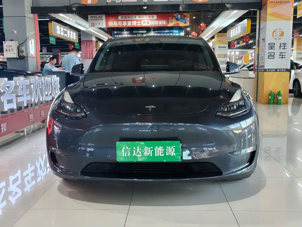 Tesla Model Y — миниатюра 2