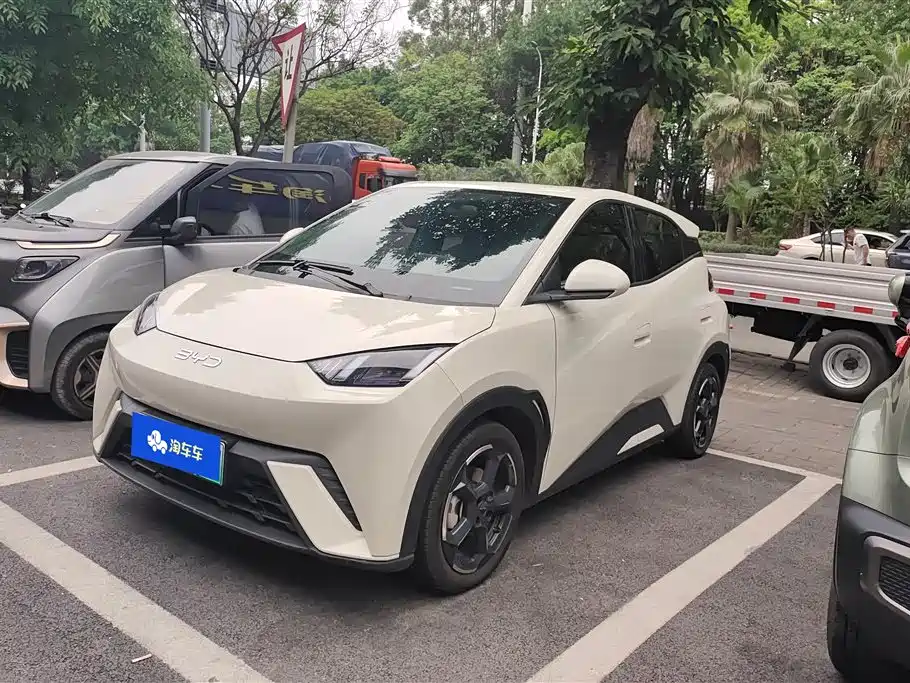 Byd Seagull 2024