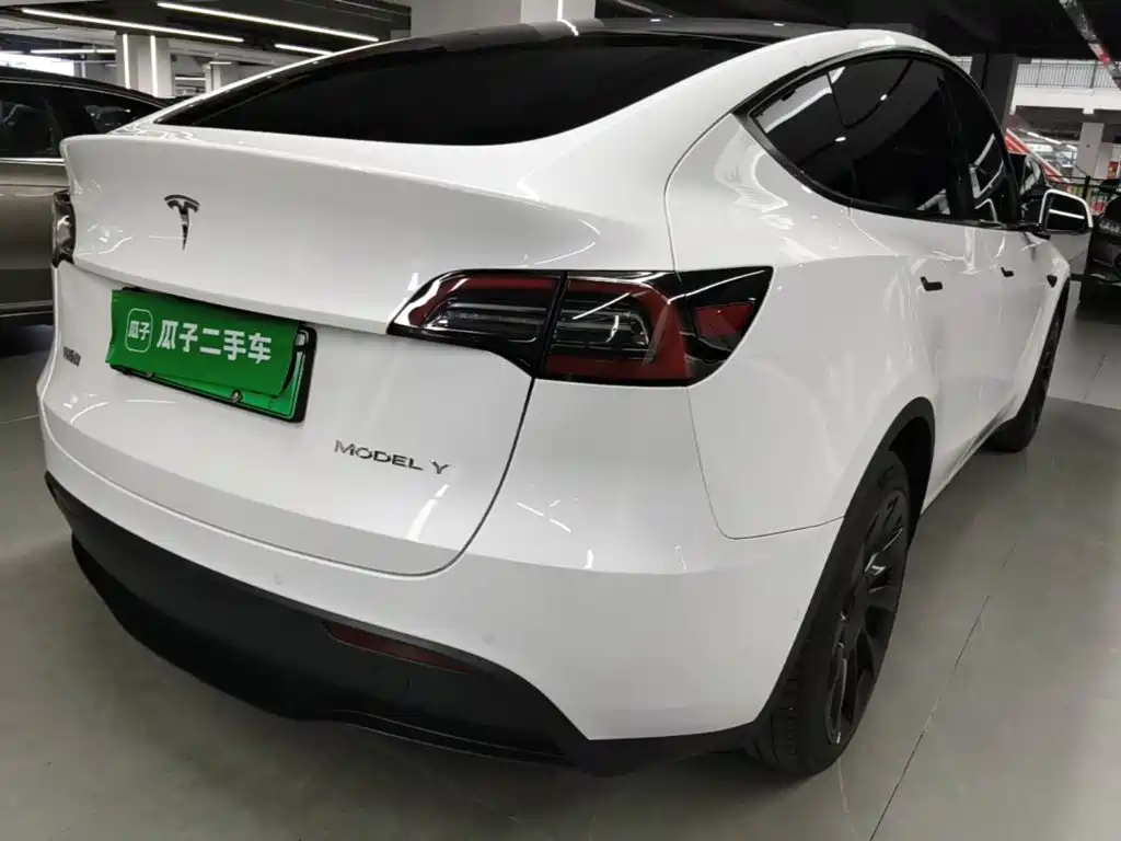 Tesla Model Y — миниатюра 7