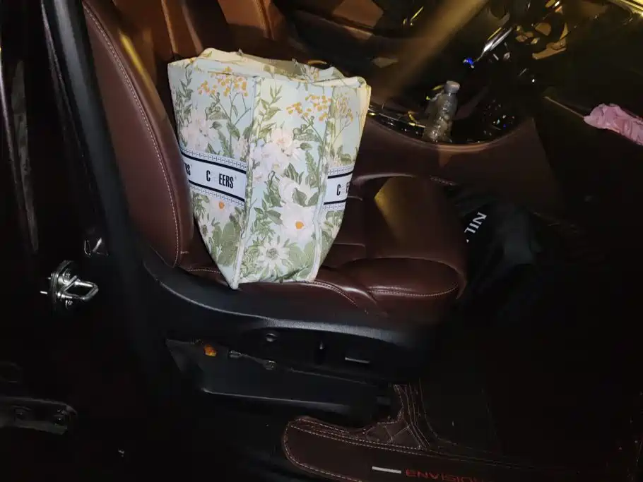 Buick Envision Plus — миниатюра 8
