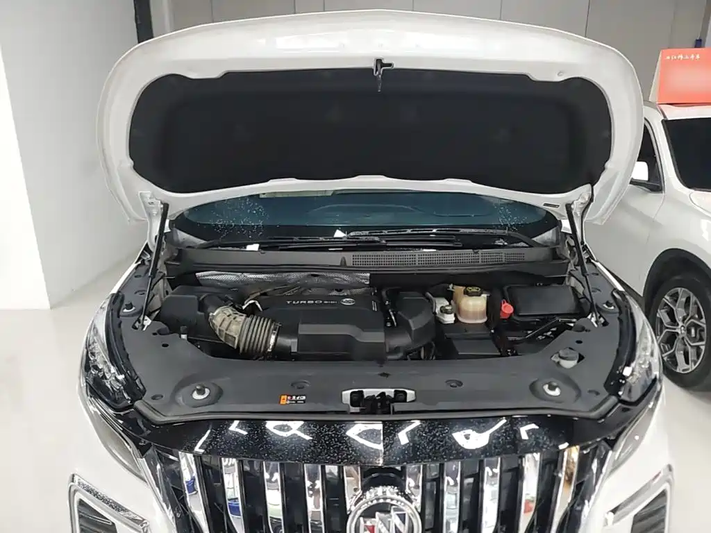 Buick GL8 — миниатюра 20