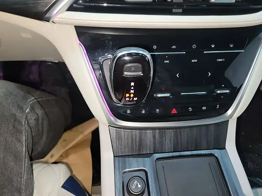 Buick GL8 — миниатюра 14
