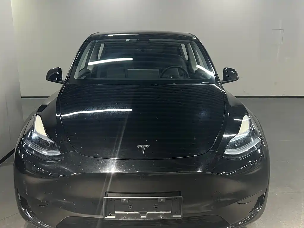 Tesla Model Y — миниатюра 2