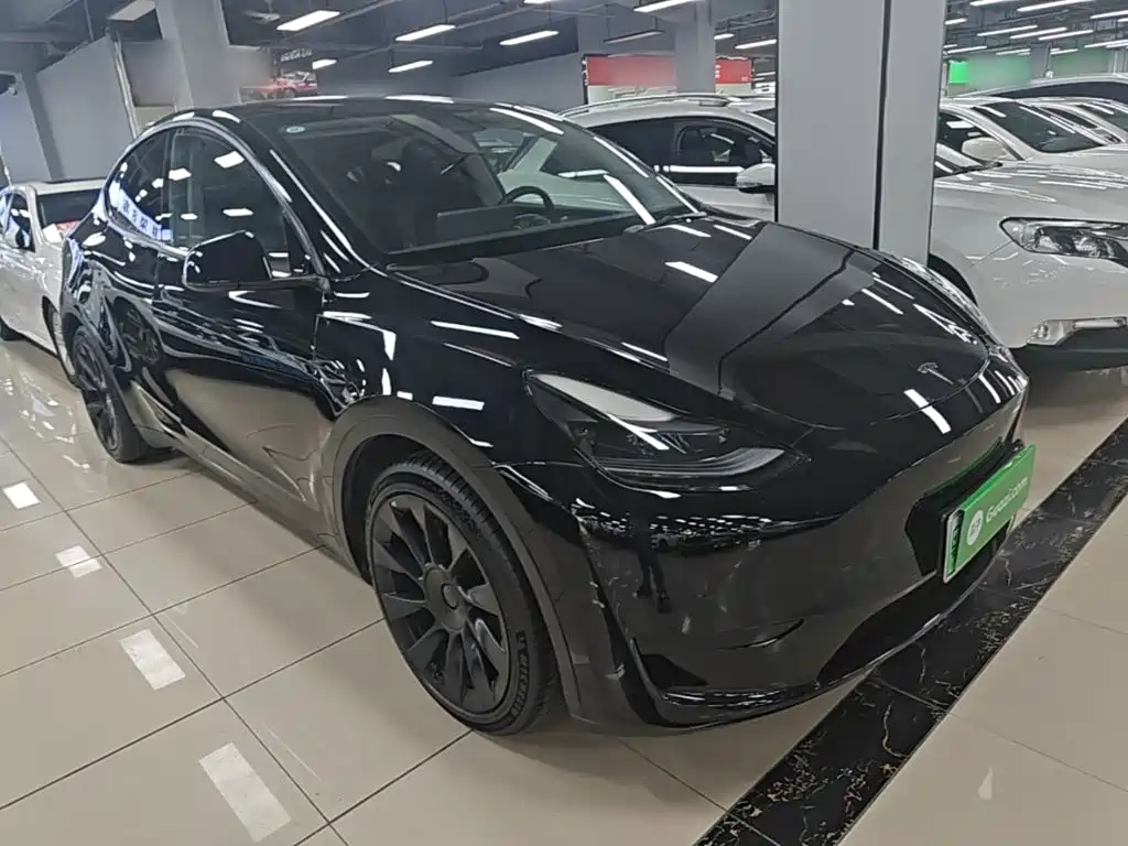 Tesla Model Y — миниатюра 4