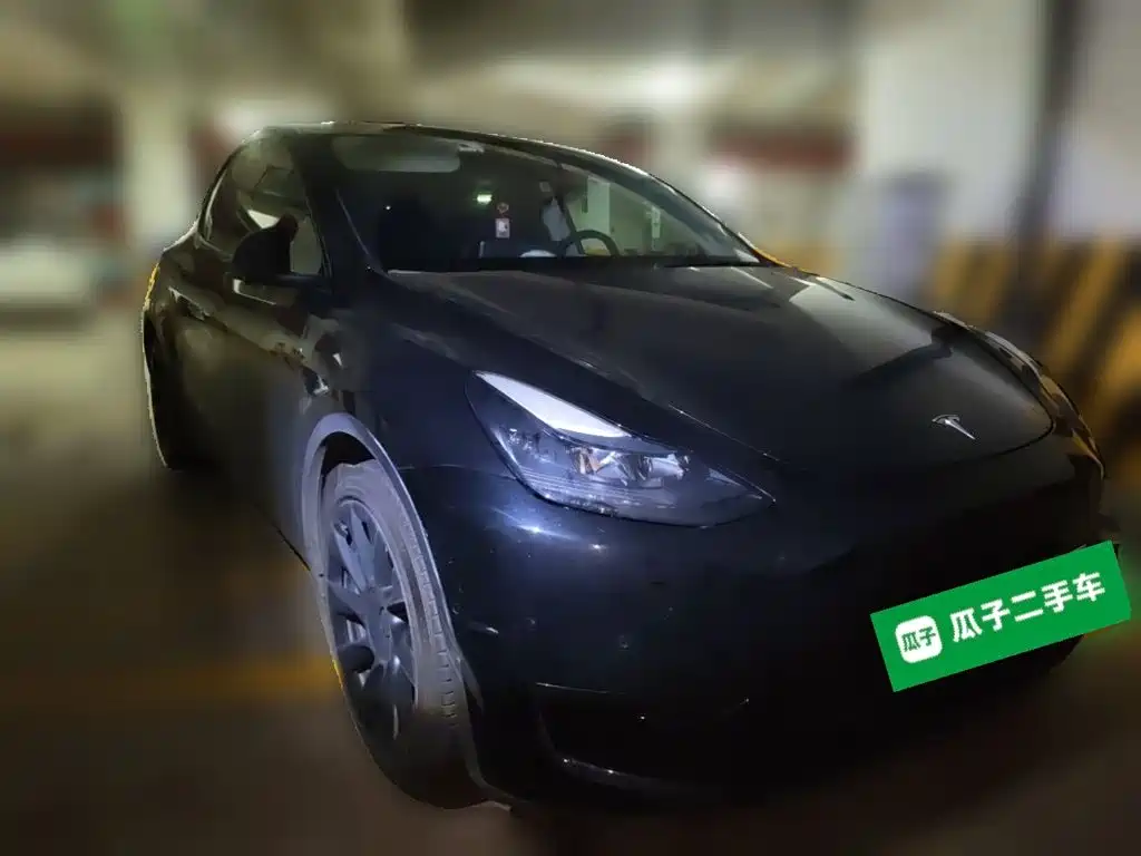 Tesla Model Y — миниатюра 24