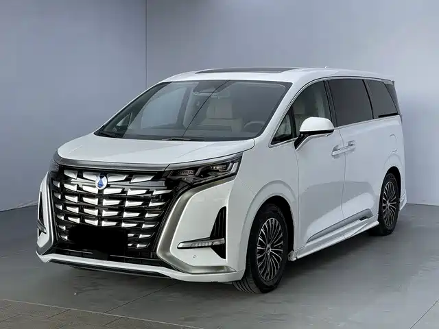 2025 Denza D9