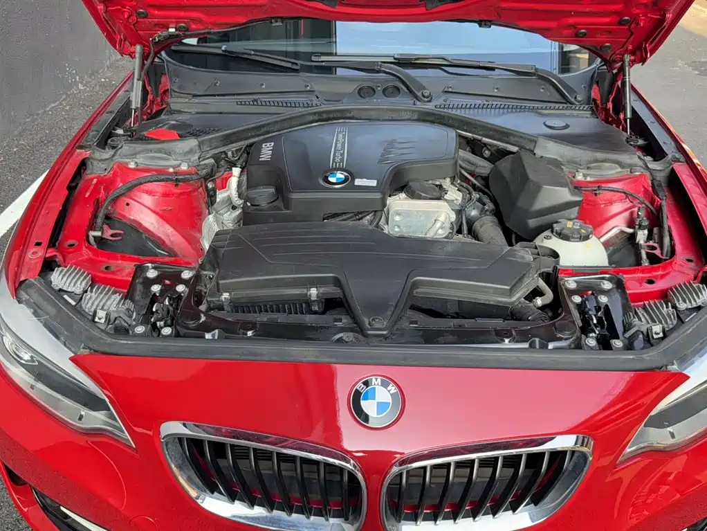 BMW 2 Series (Import) — миниатюра 7